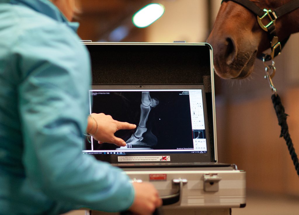 Röntgenbild eines Pferdebeins auf Laptop, Hand zeigt darauf für Pferdepraxis Dr. med. vet. Theresa Bockhorni