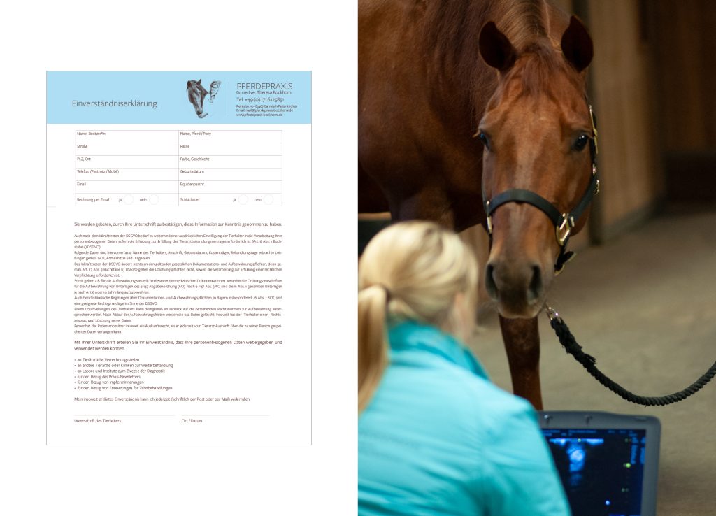 Einverständniserklärung neben Foto: Dr. med. vet. Theresa Bockhorni mit Ultraschallgerät vor Pferd